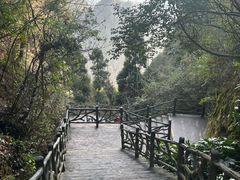 -刘伯温故里景区百丈漈