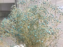 -SalonRivelin 沙龙瑞菱