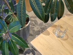 -DEEP COFFEE(瑞光烘焙工厂店)