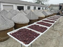 -苏州市吴中区光福窑上花果蜜饯厂