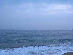 -海云台海滩