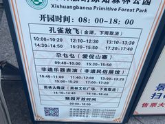 -西双版纳原始森林公园