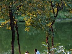 -飞来湖湿地公园