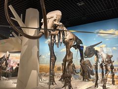 -国家自然博物馆