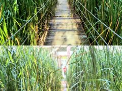 -河北村民俗体验园