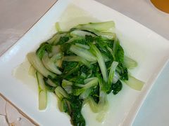 有机白菜苗-香蜜轩·粤菜·宴会(世界之窗店)
