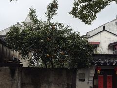 -绍兴书圣故里景区