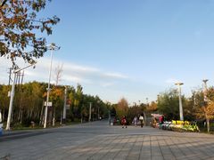 -伊犁河风景区