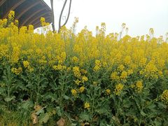 -中国天府农业博览园