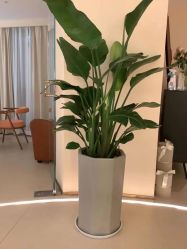 -LORI SPA洛丽汇 美肤抗衰SPA中心