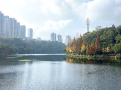 -重庆彩云湖湿地公园