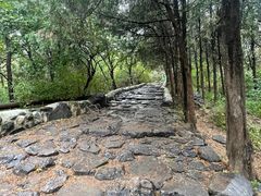 -阳台山自然风景区