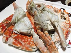 -金燕岛潮州酒楼