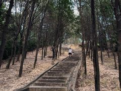 -火炉山森林公园