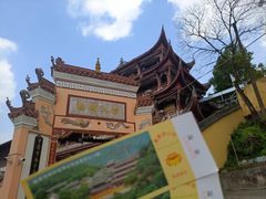 -南山植物园