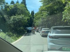 -武陵山森林公园