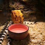 假日带娃新去处—宠物主题亲子体验馆