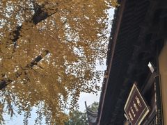 -上海青龙寺