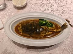 -新光酒家·河豚·海鲜·蟹料理(浦东店)