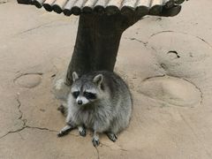 -杭州野生动物世界
