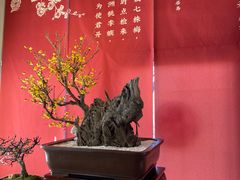 -颐和园
