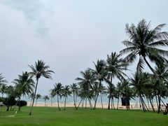 -海南清水湾莱佛士酒店