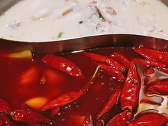 -麻田会 ·鲜活现烹·牛蛙火锅(珠江新城维家思广场店)