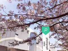 -龙美术馆(西岸馆)