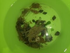 -青岛第三海水浴场