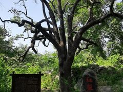 -北京密云天门山风景区