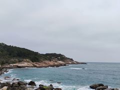 -广东惠东海龟国家级自然保护区