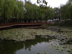 -巴山一绝烤全羊(三圣乡刘家花园店)