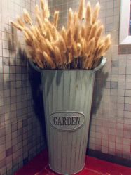 -伽尔瑜伽普拉提工作室