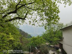 -涂山寺素食餐厅