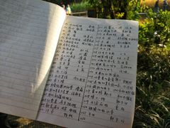 -成都市活水公园