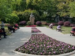 -徐家汇源景区-衡山公园