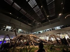 -自贡恐龙博物馆