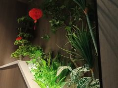 -纪林菜馆·博山菜老字号(华光路店)