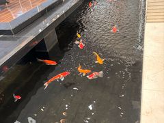 -天津波士信达奔驰4S店(卫津南路店)