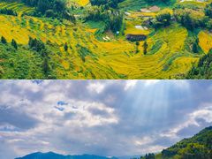 -紫鹊界梯田景区