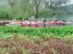 -石家庄市动物园