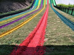 -梦幻奥陶纪景区