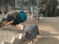 -陕西自然博物馆