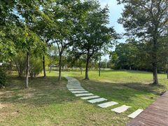 -苏州太湖国家湿地公园