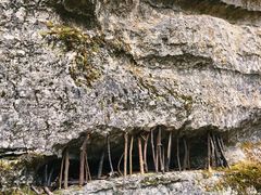 -山王坪喀斯特国家生态公园