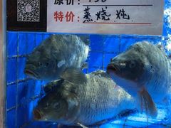 -大理实力希尔顿酒店御璽中餐厅YUXI – CHINESE RESTAURANT