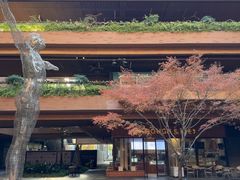 -瑞虹新天地月亮湾