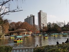 -绵阳人民公园(涪城区)