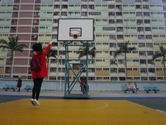 -彩虹村