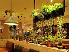 -比格比萨自助(宋家庄店)